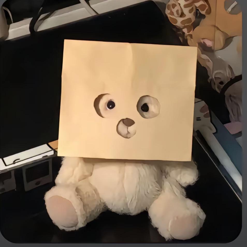 🐱༣招财ꪵ喵༉ᩚ᭄