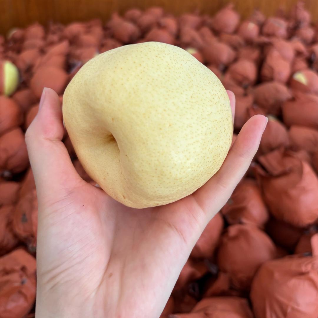 卖梨子🍐的蒲城女孩～