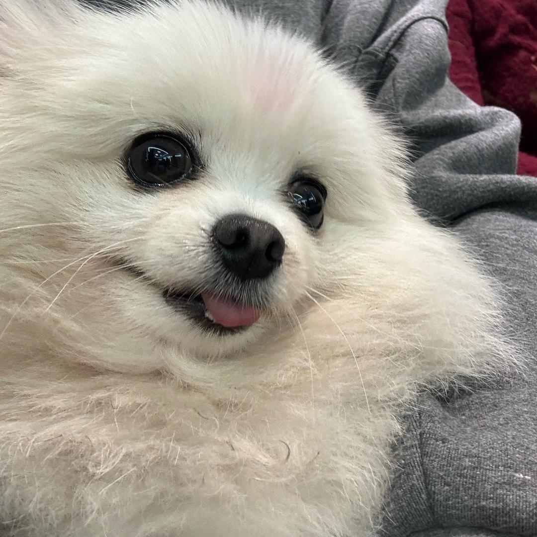 优选百货