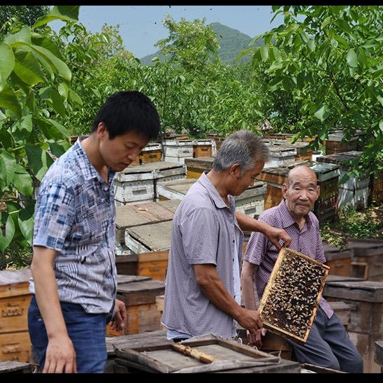 （杜哥）四代养蜂一百年