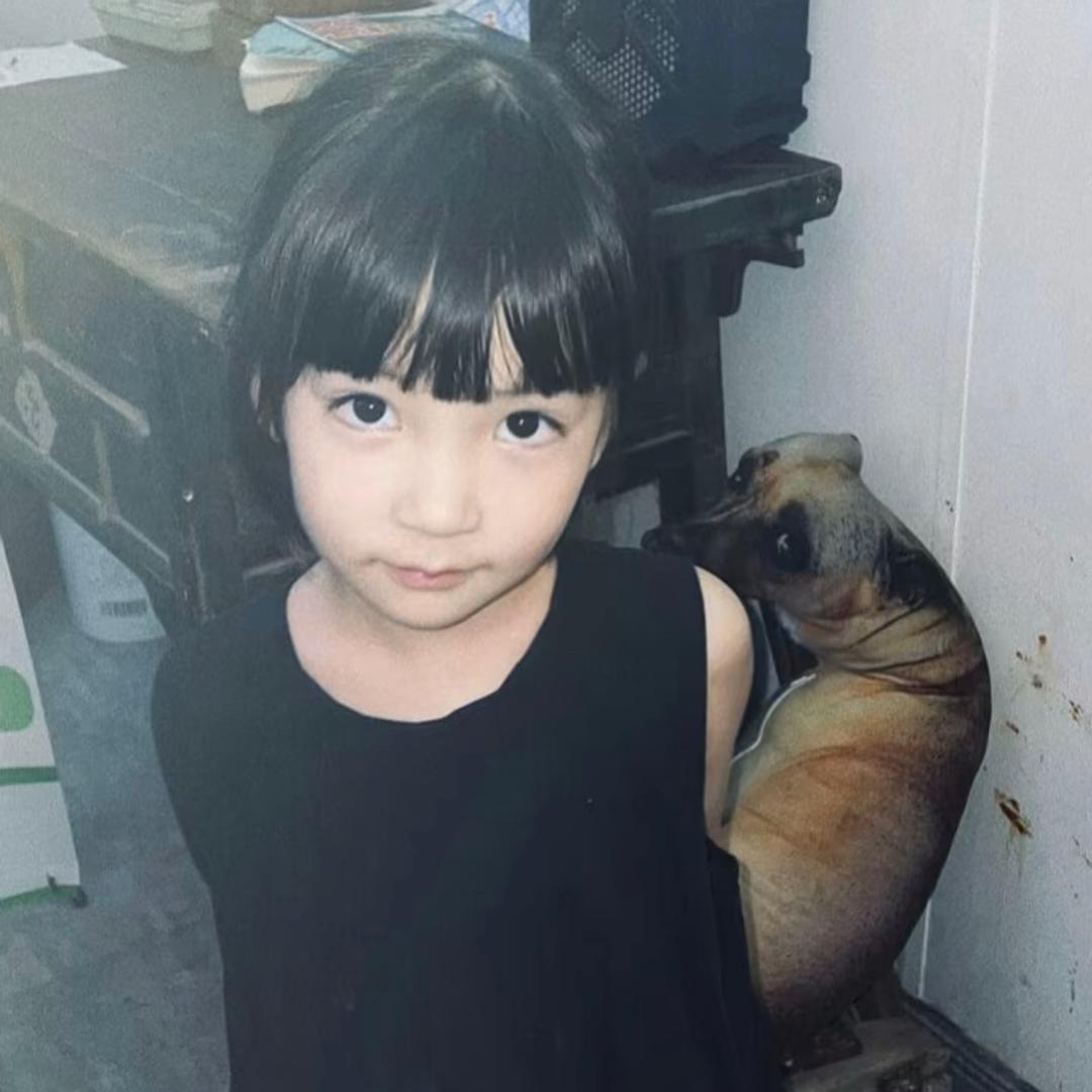失眠快滚蛋.