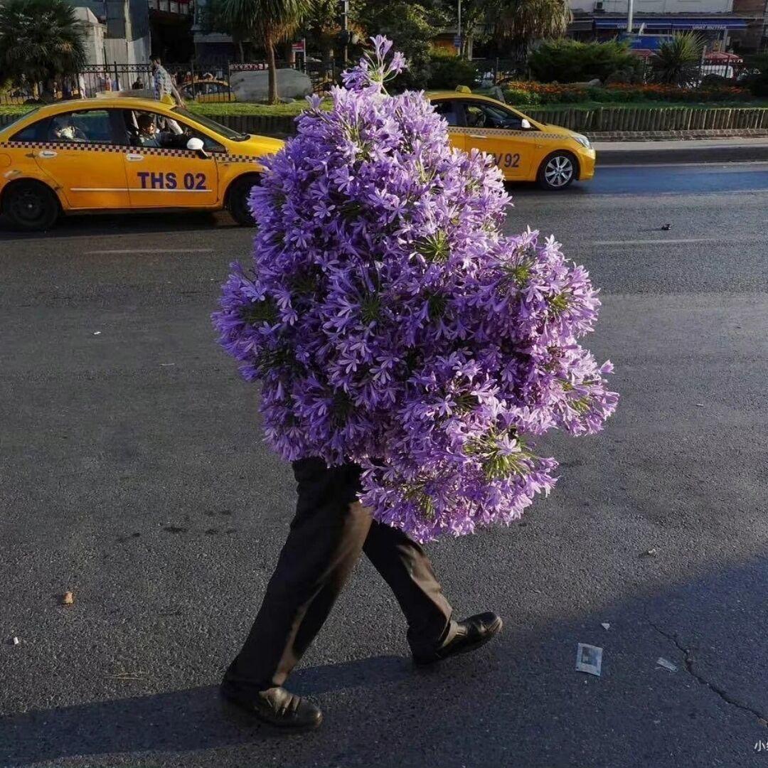 关于小崎的一切