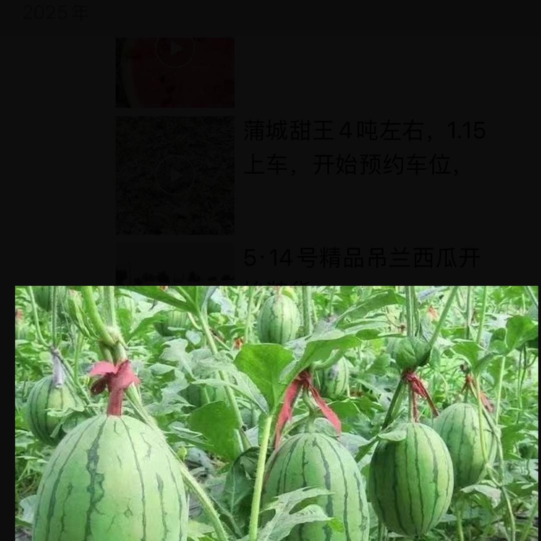 大荔王哲果蔬网络经营部（个体工商户）