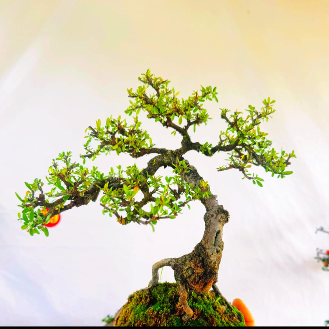 玉涧山河