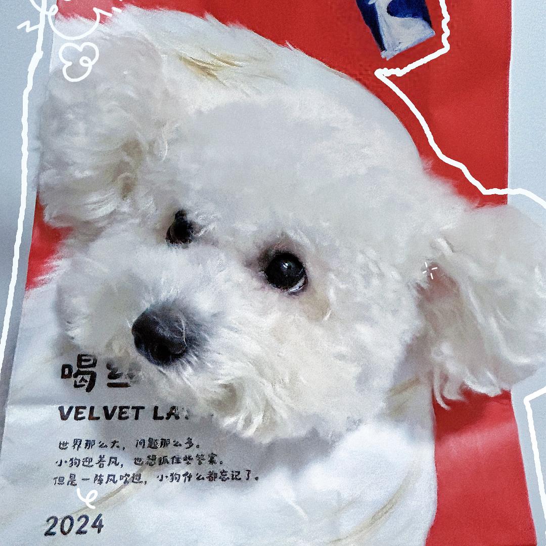 赵大花✌🏻