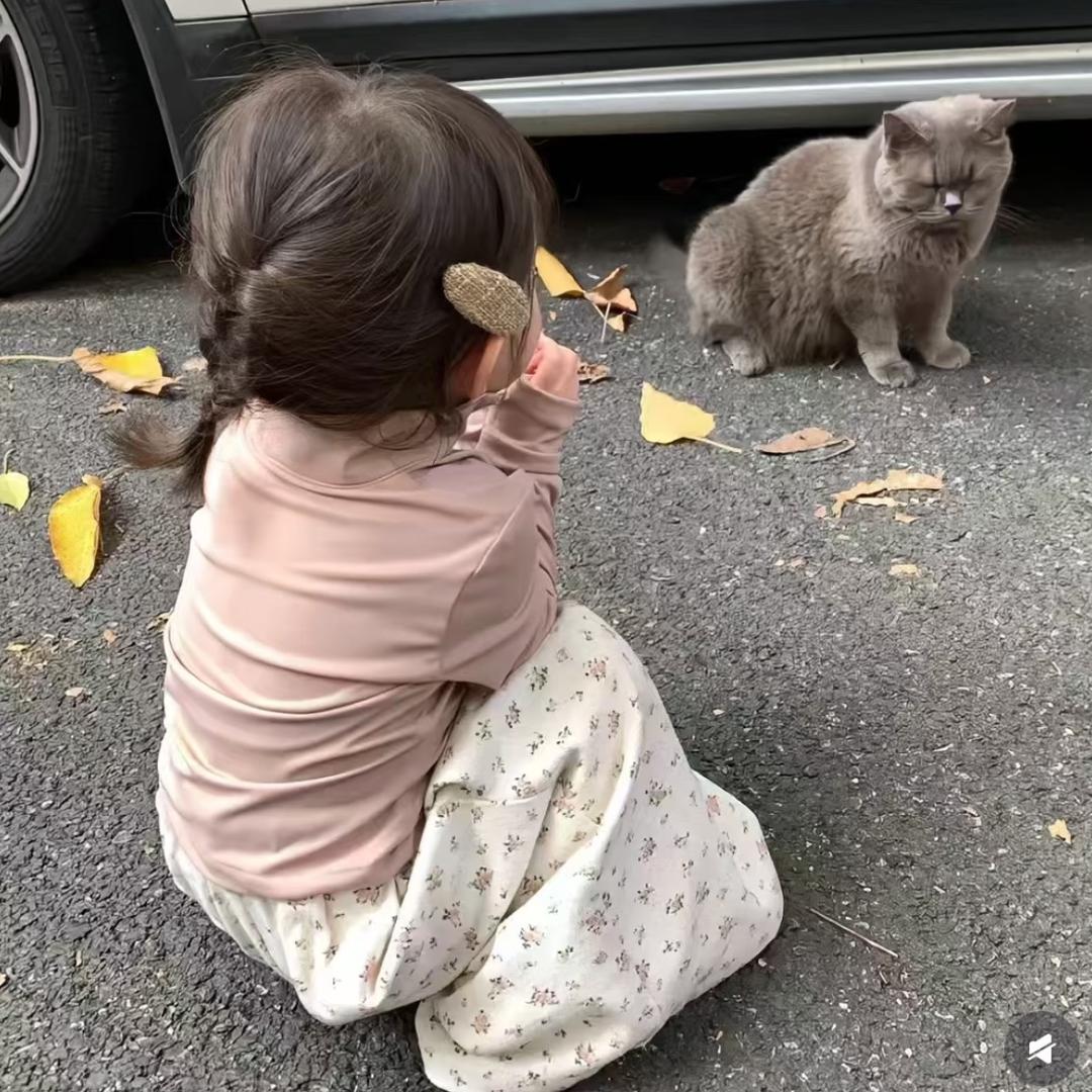 秋少溪.🌾