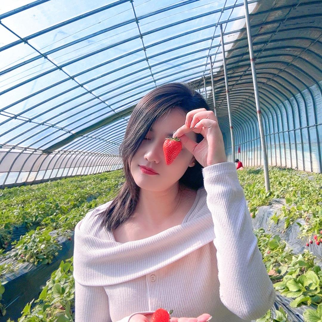 ～～夏花～～