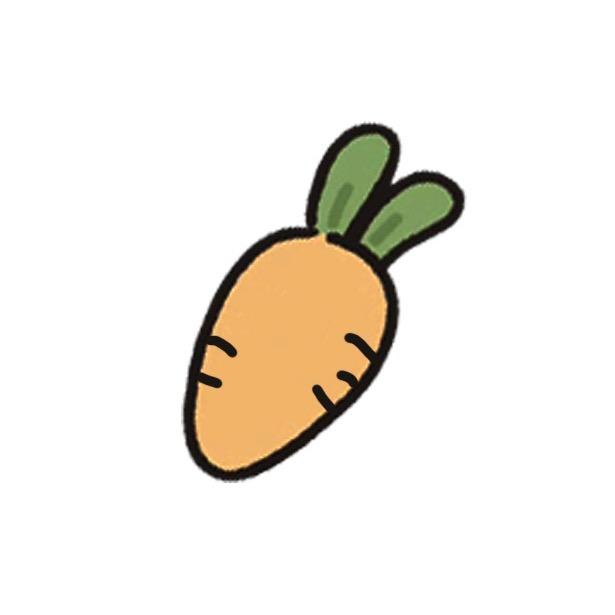 胡萝卜萝卜@抖音