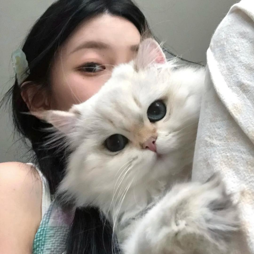 贰零