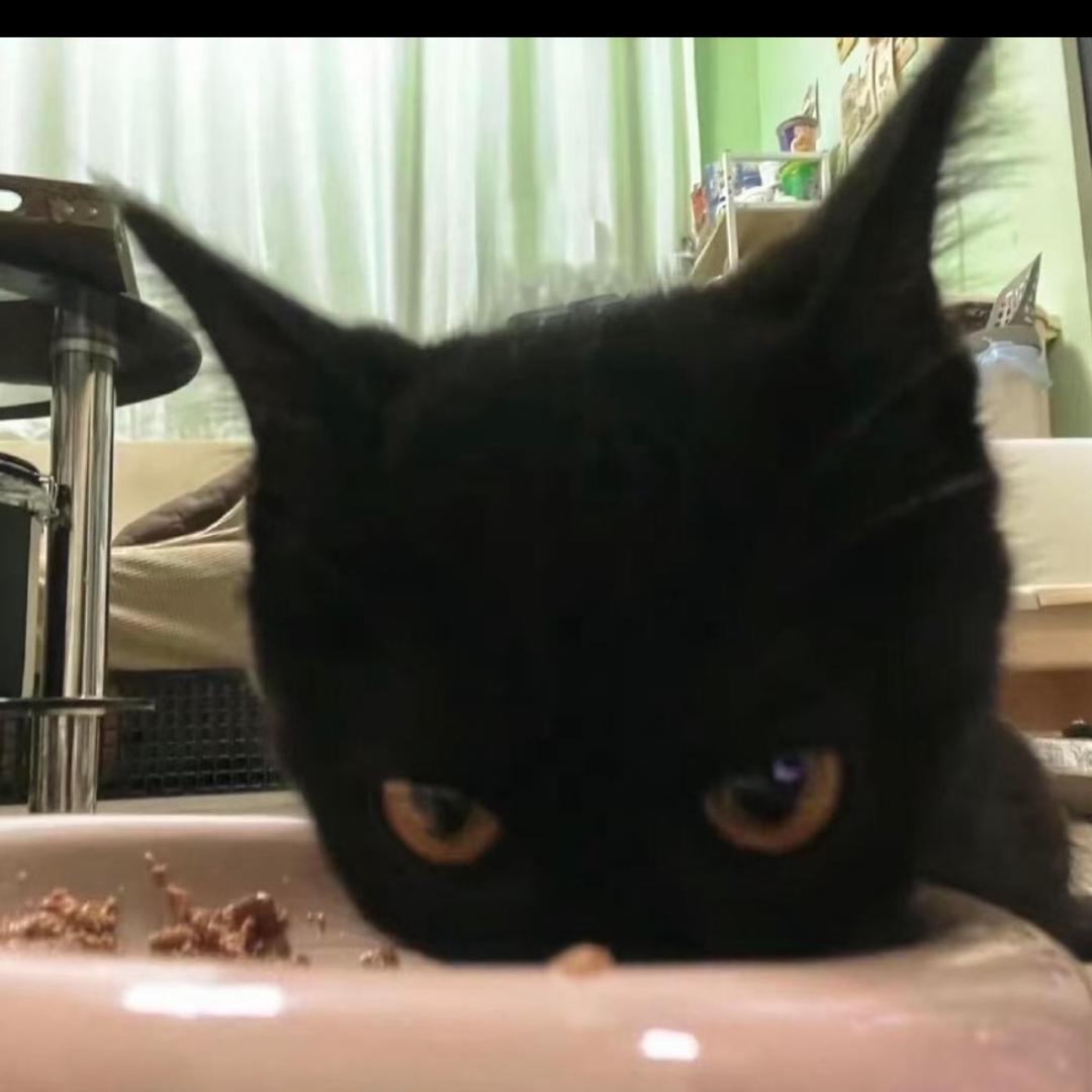 你别无理取闹。