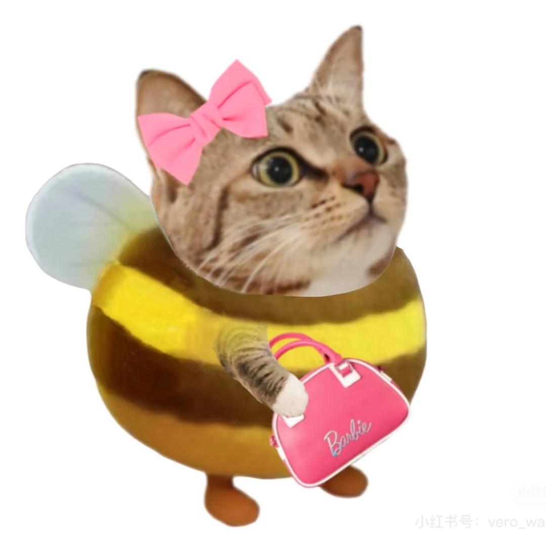 芭Bee（待业中）