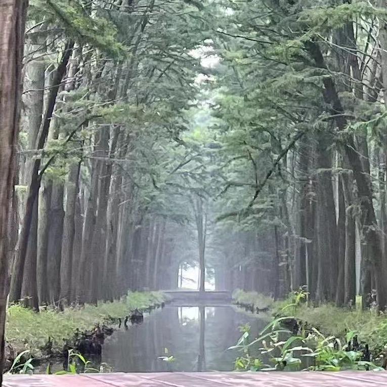 學哙嶶笶