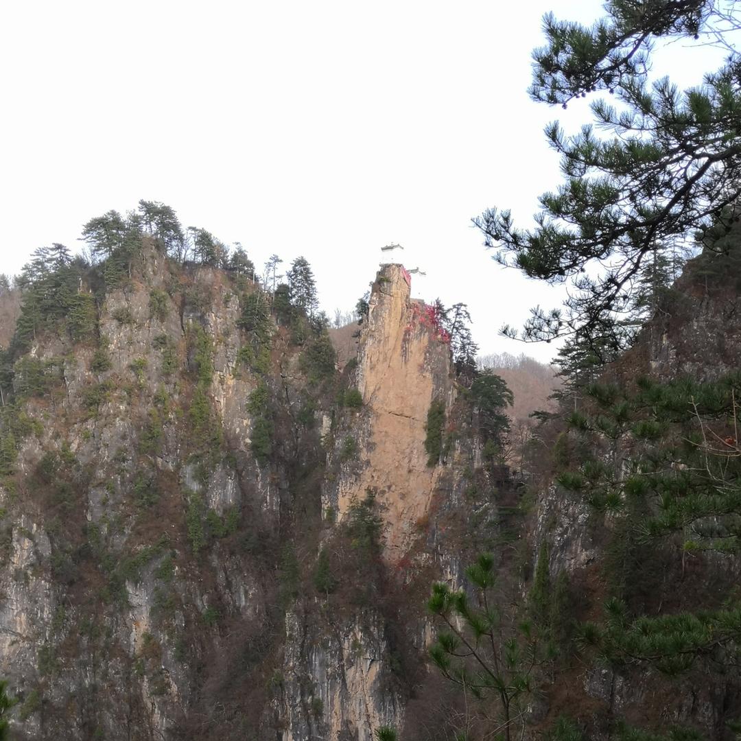“砖比”的翁翁