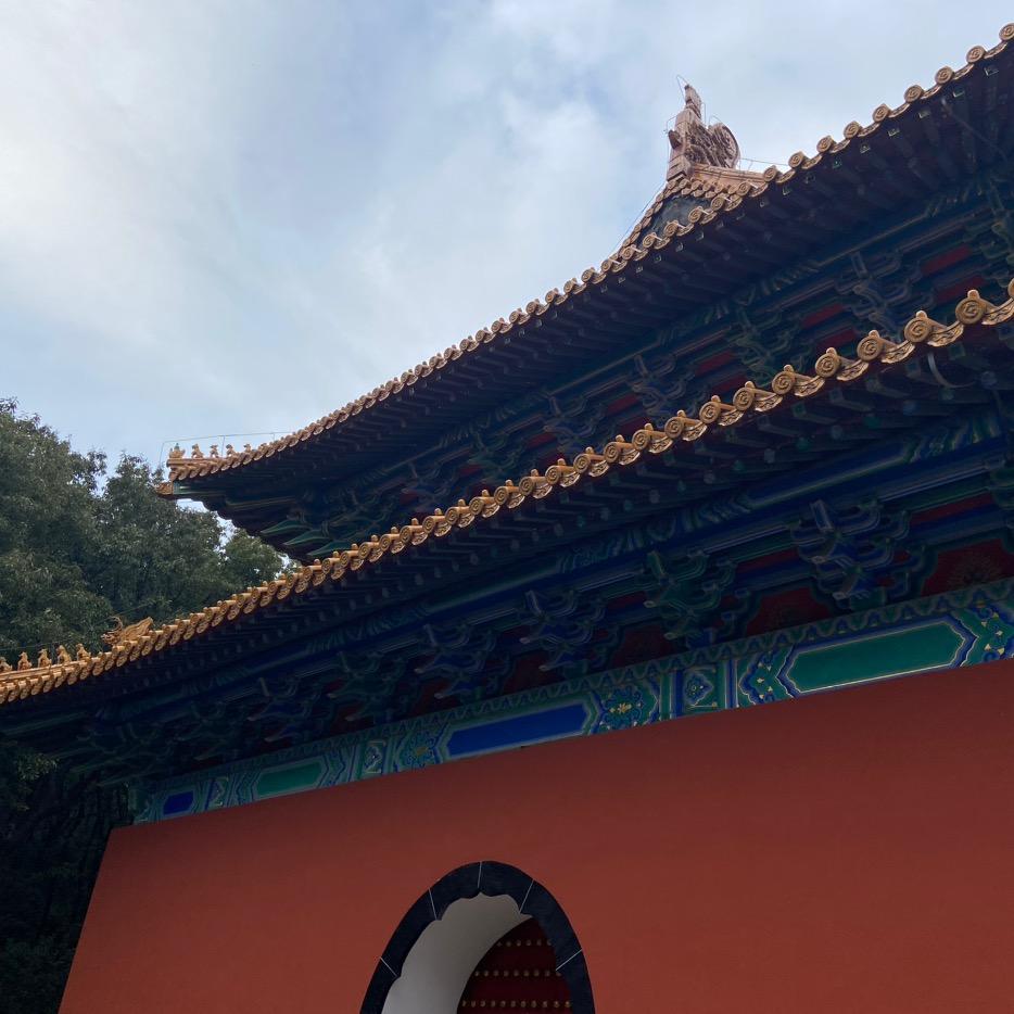 快乐的童年(不接受任何人私聊…