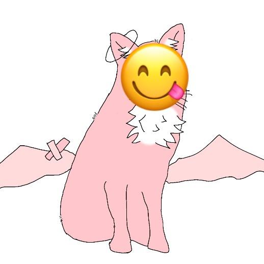 万能的WR渊