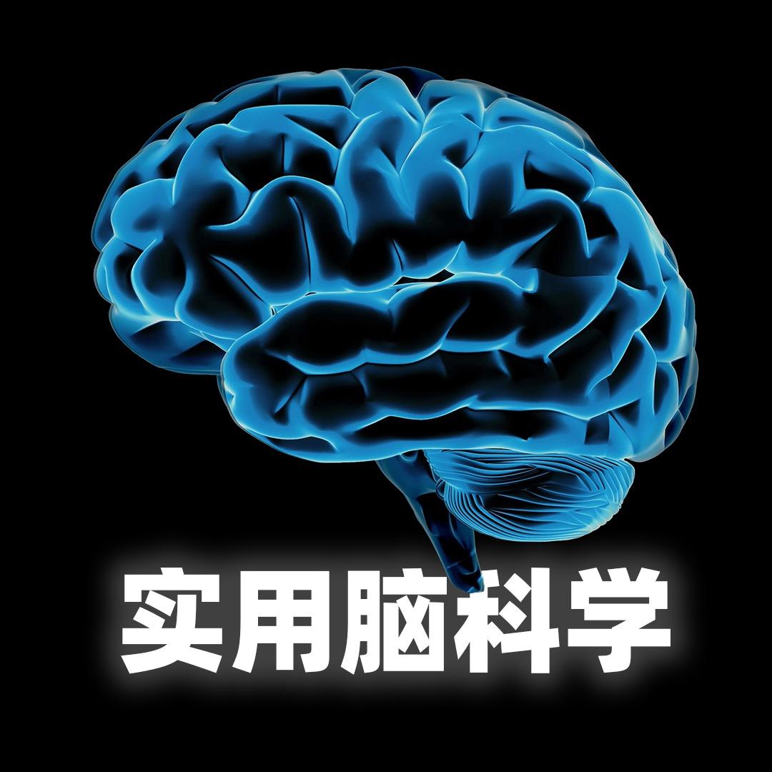 实用脑科学