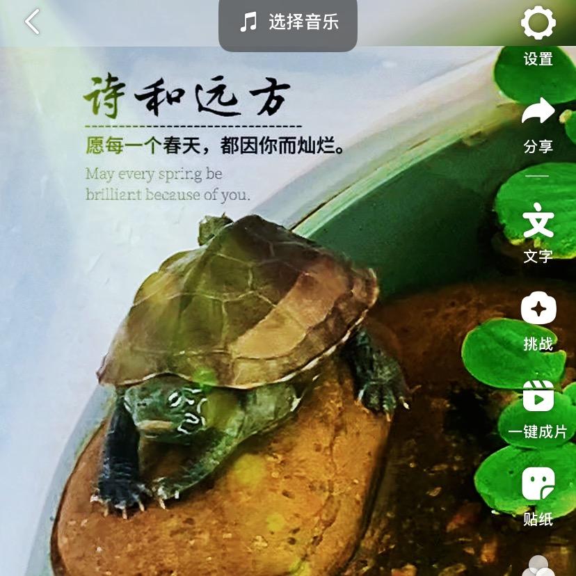 亲子小世界🐢