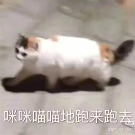 万水😼