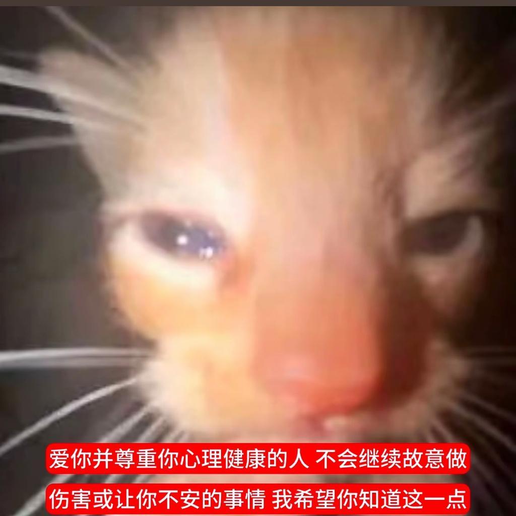 麦麦