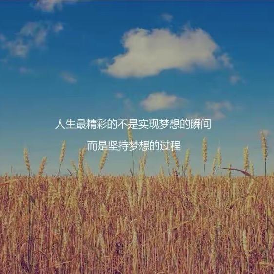 二级选手