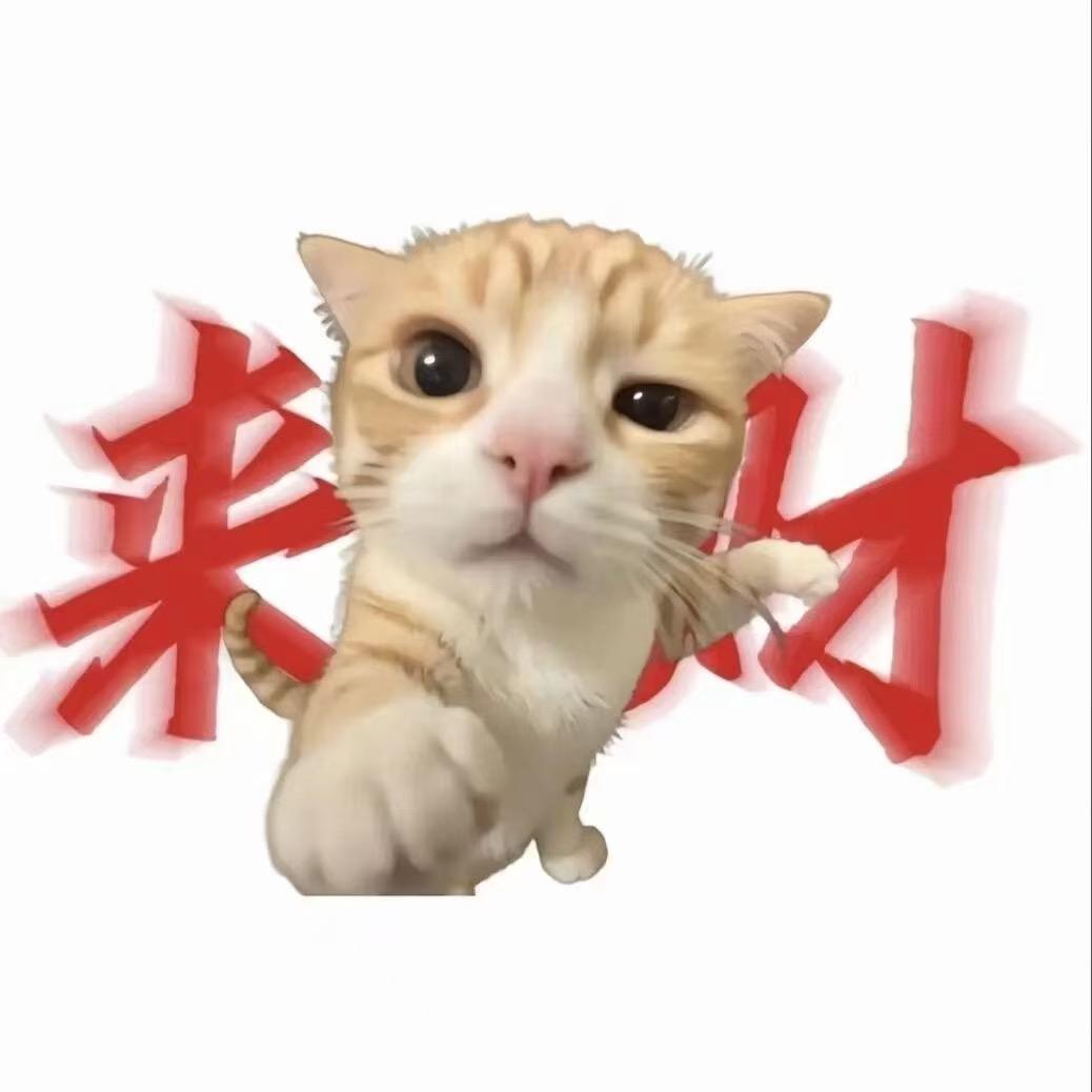 雷伊