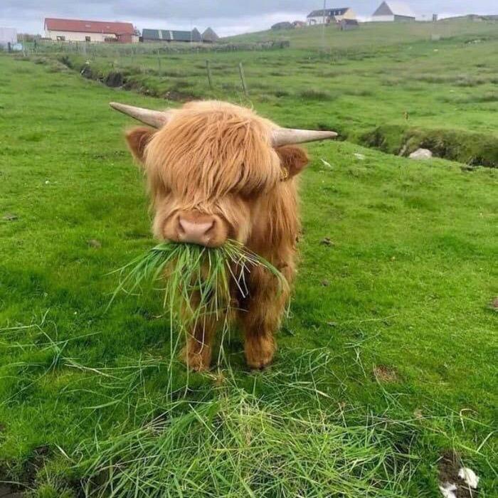 ᡕᠵ᠊ᡃ່࡚ࠢ࠘⸝່ࠡࠣ᠊߯᠆ࠣ࠘ᡁࠣ࠘