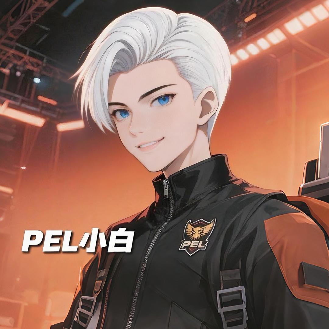 PEL小白游戏