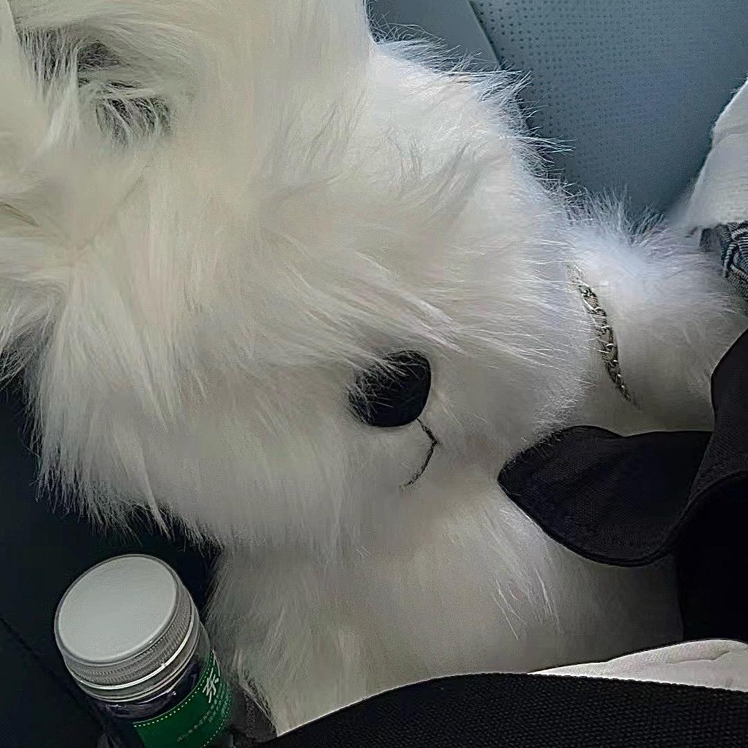 鱼香茄子