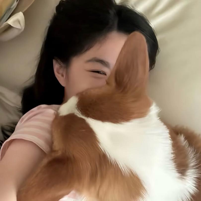 短腿柯基基（一直在被限流中）