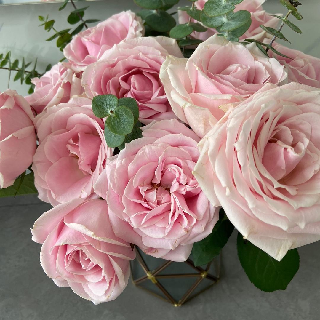 西西太华土特产