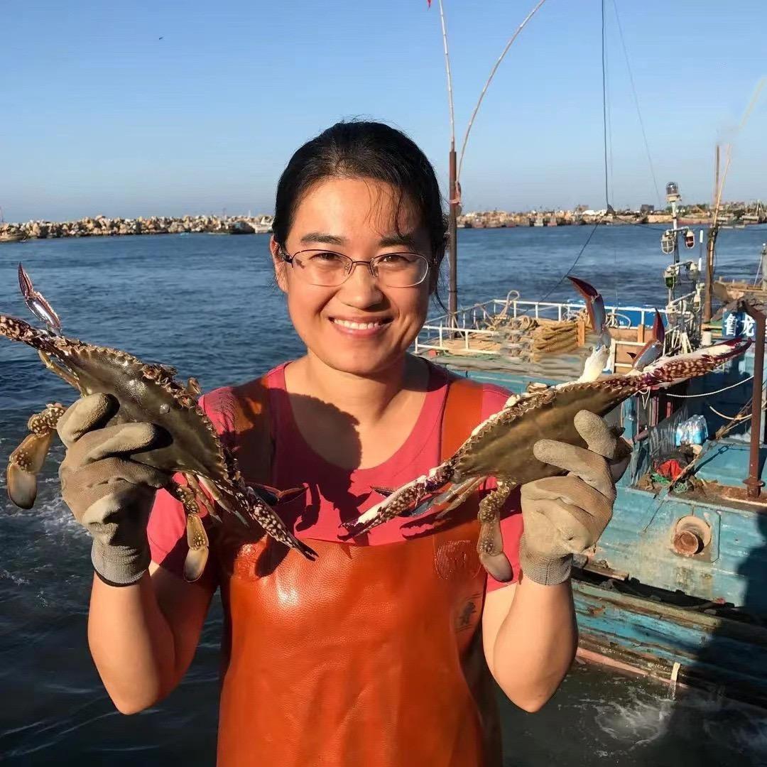 静姐的家乡美食(鲜食海参工厂直发)