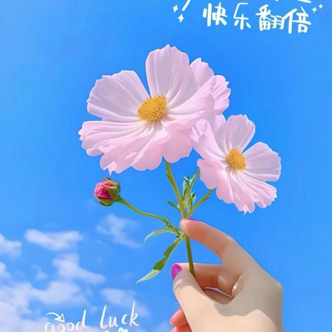 简简💖单单