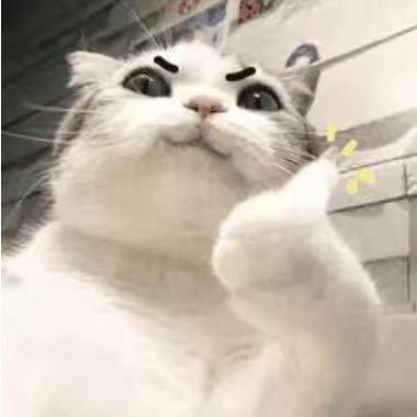 小 叶