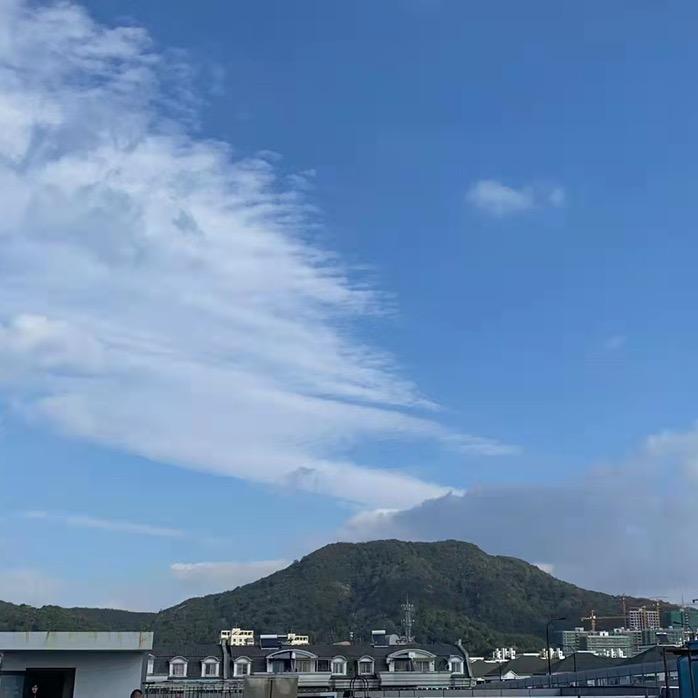 宽哥和他的海鲜们