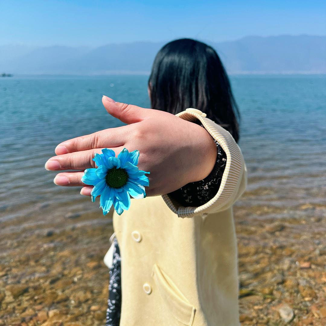 橙紫^_^