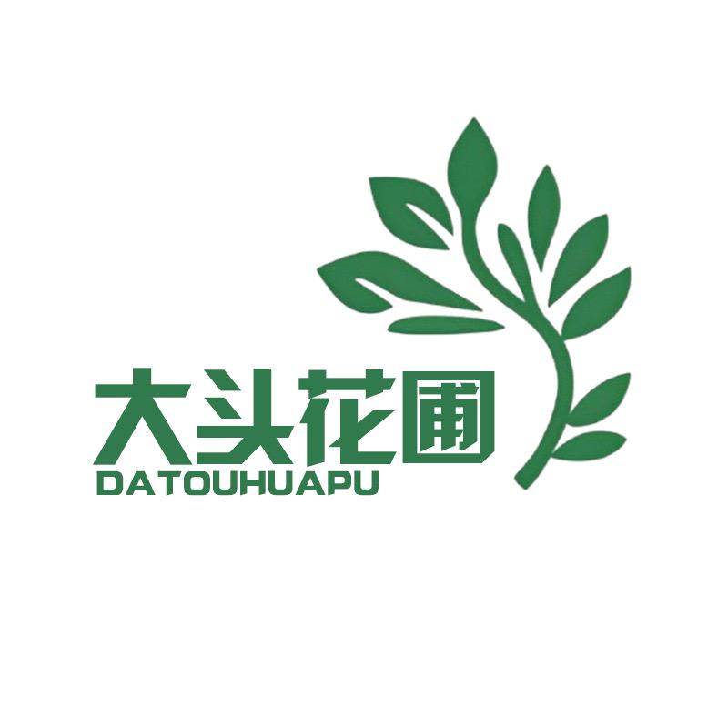 大头花圃