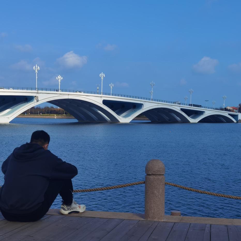 95不是汽油