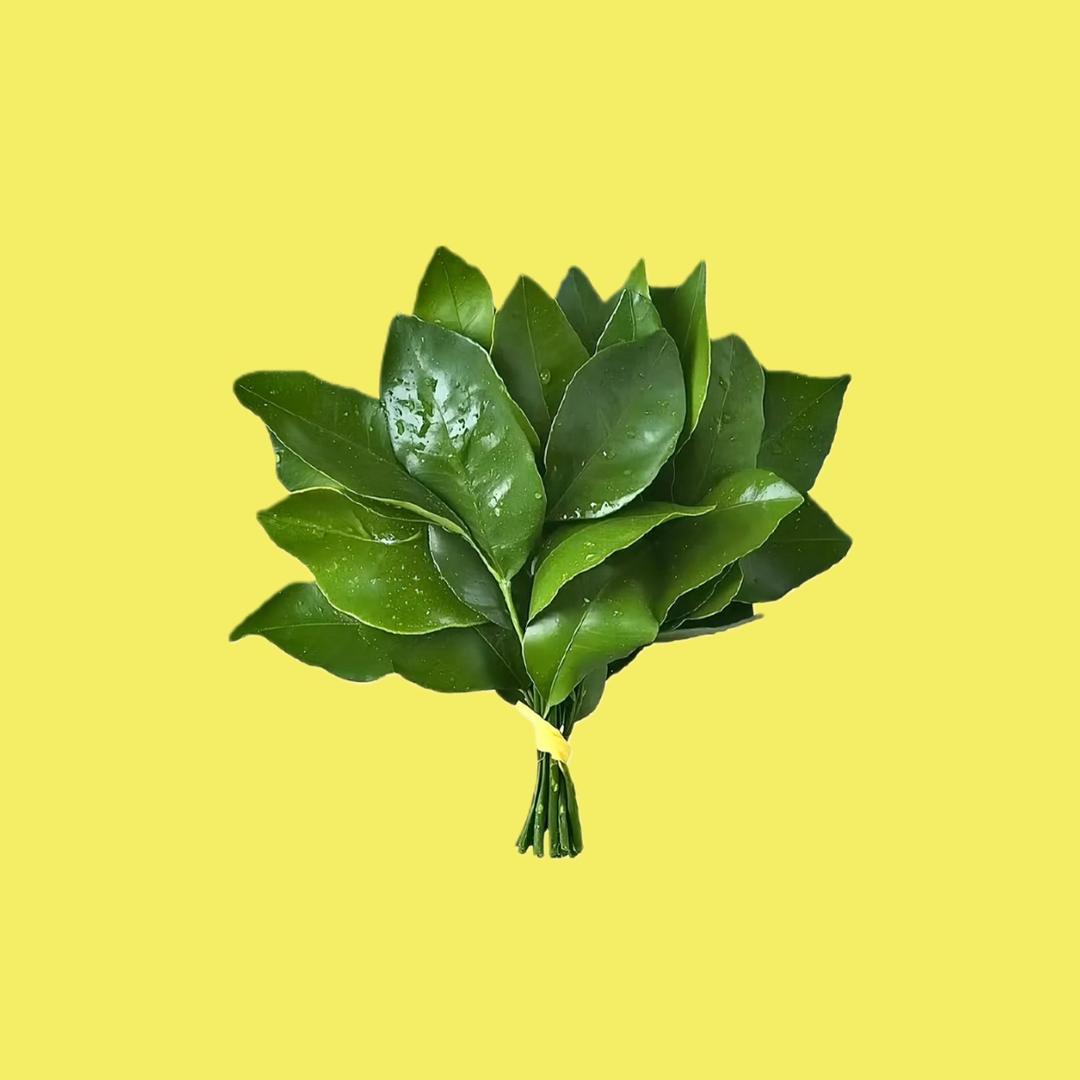 小金的金