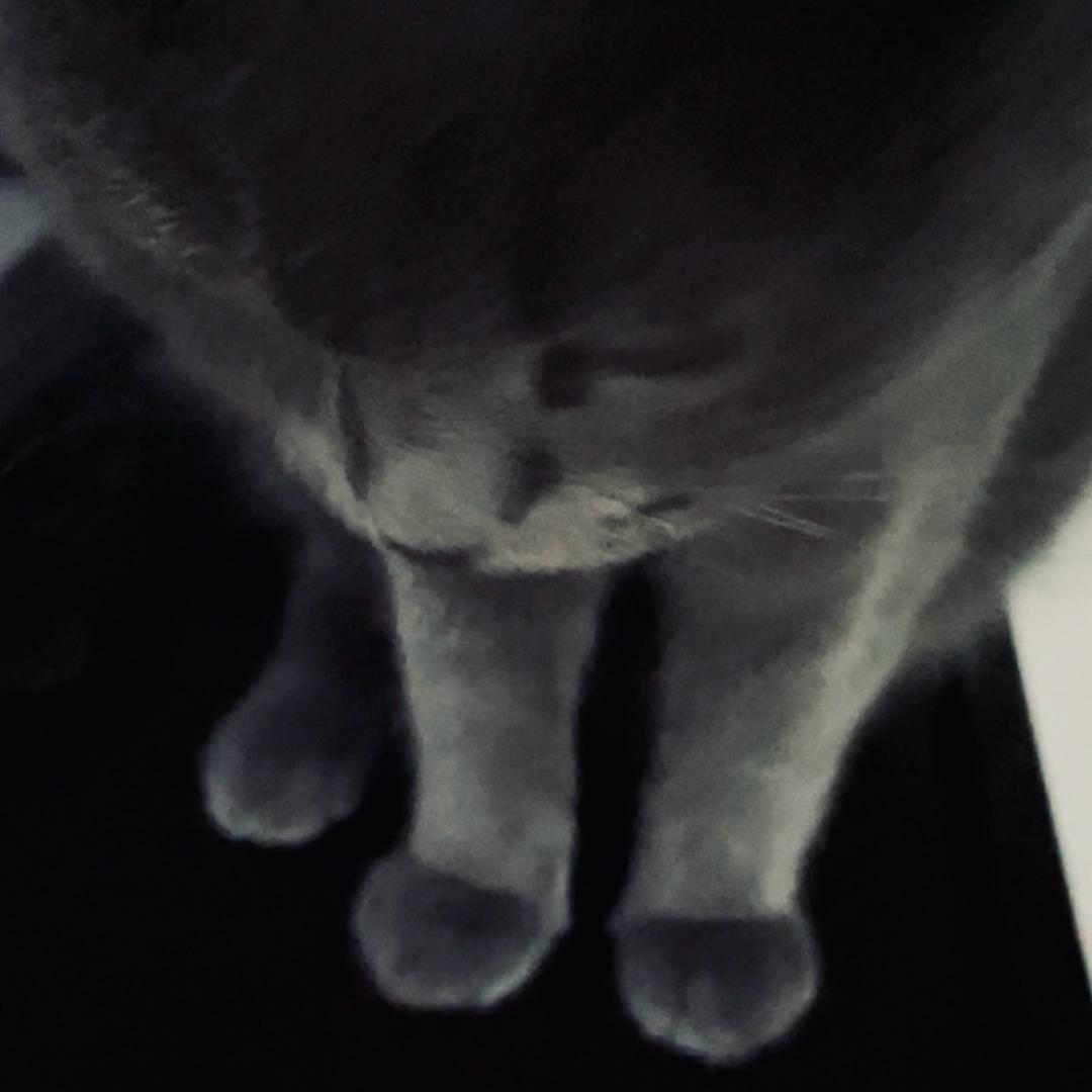 亥土