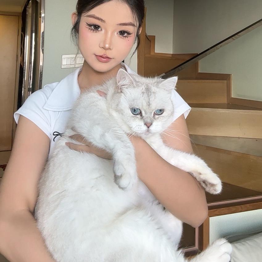 爆炒三只猫