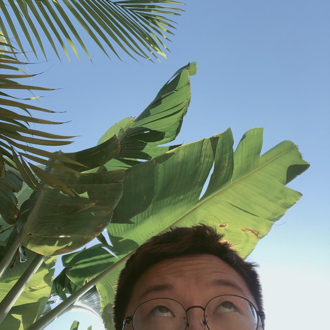 光合作用的刘大