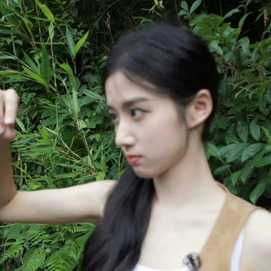 云里有鹤