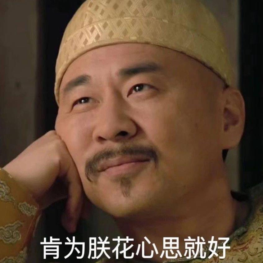 肯为朕花心思就好