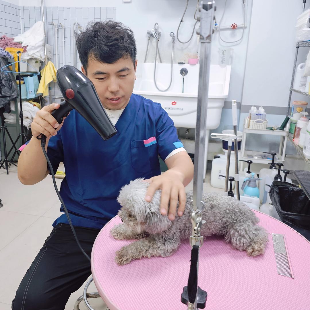 老六爱养猫