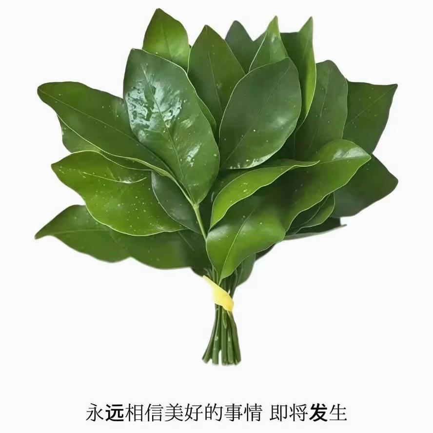 运运运运运
