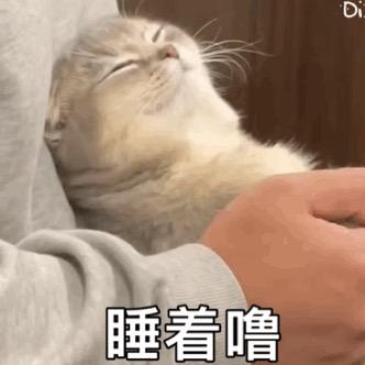 阿里多多
