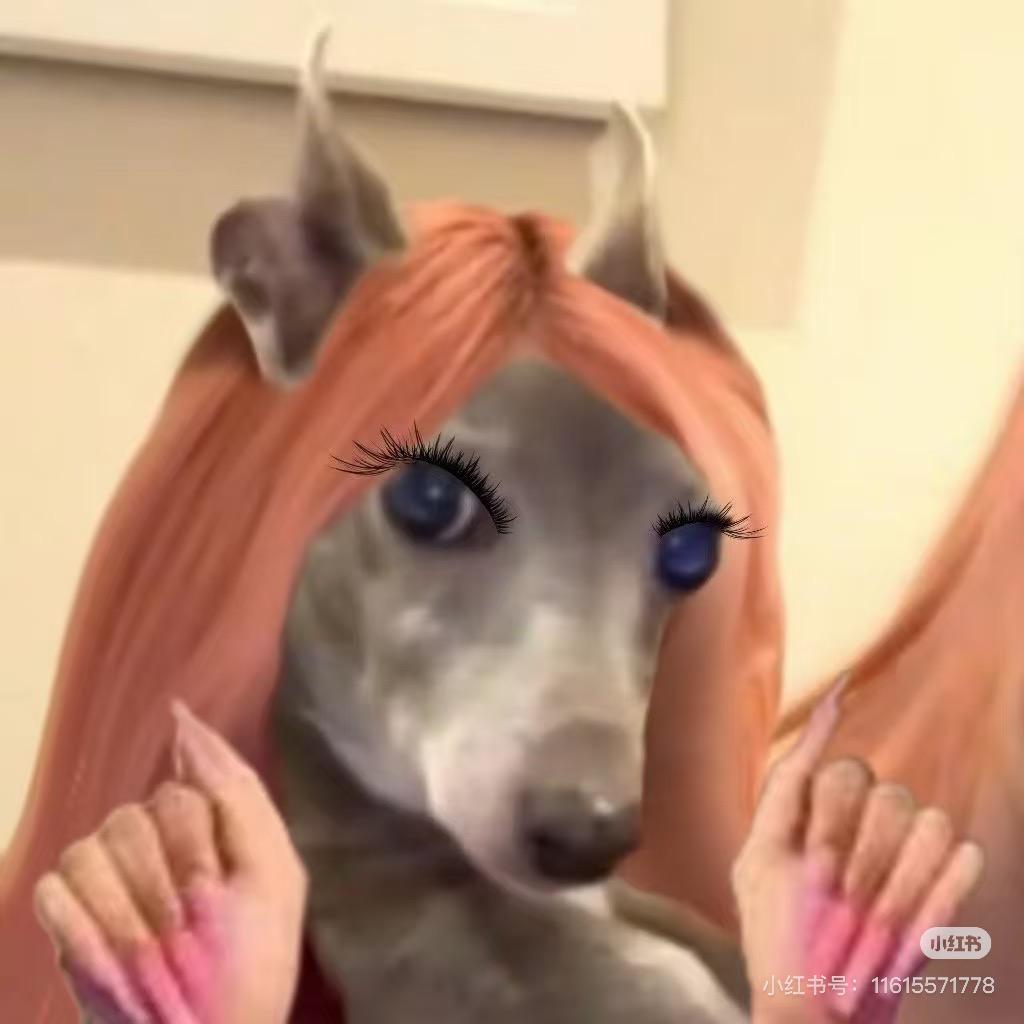 不如一鹗