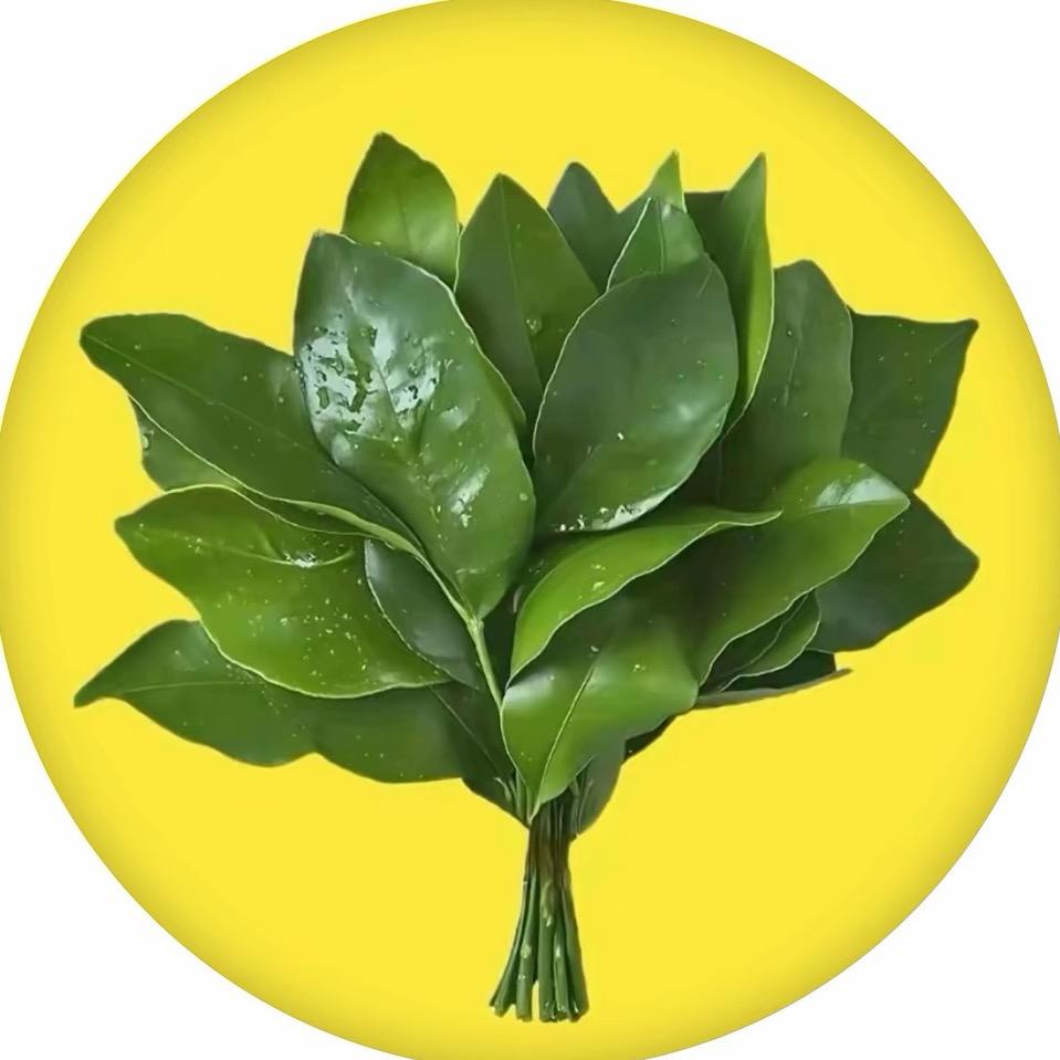 李昭昭（养号中…）