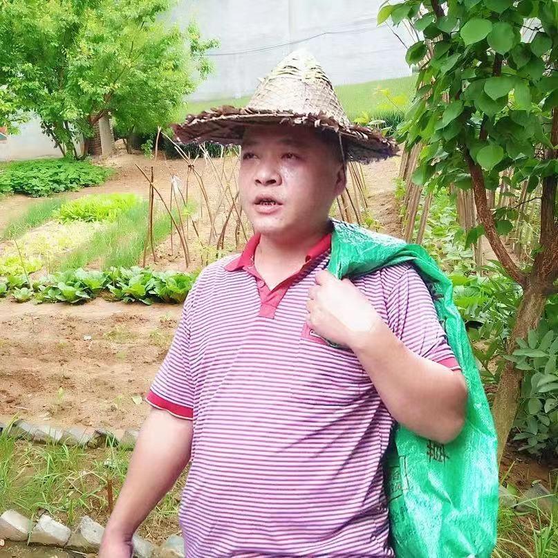 老江-谢小强工作室
