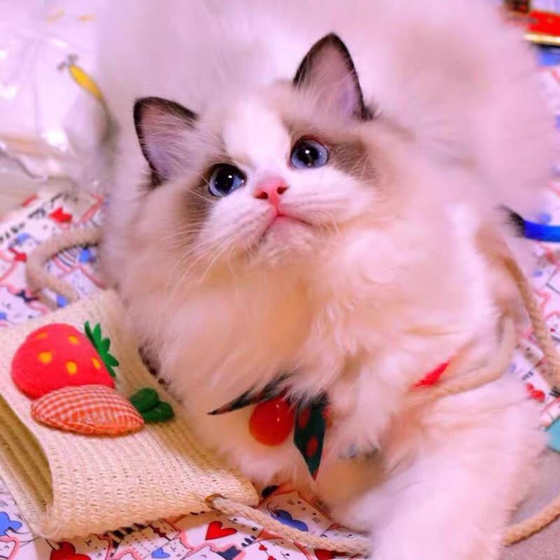 归陌